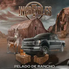 Pelado de Rancho - Single by Increibles album reviews, ratings, credits