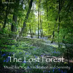 The Lost Forest by Garry Judd album reviews, ratings, credits