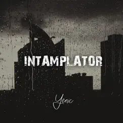 Intamplator - Single by Yenic album reviews, ratings, credits