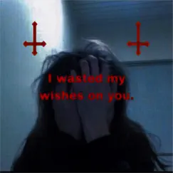 I Wasted My Wishes On You Song Lyrics