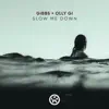 Slow Me Down (Extendend Mix) - Single album lyrics, reviews, download