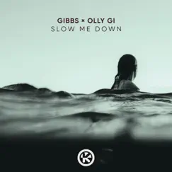 Slow Me Down (Extendend Mix) Song Lyrics