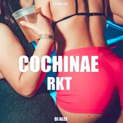 Cochinae RKT (Remix) Song Lyrics