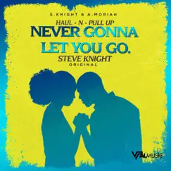 Never Gonna Let You Go - Single by Steve Knight album reviews, ratings, credits