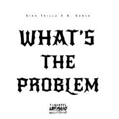 What's the Problem (feat. R. Gonzo & Elm's Head) - Single by Kidd Trilla album reviews, ratings, credits