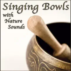 Tibetan Singing Bowl Tones with Ambient Rain in the Forest Song Lyrics