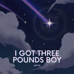 I Got Three Pounds Boy - Single by Late 80 album reviews, ratings, credits