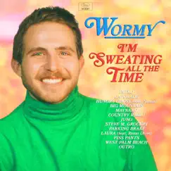 I'm Sweating All the Time by Wormy album reviews, ratings, credits