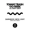 Darkness Into Light (feat. Lucy Lucy) [Rosie Kate Remix] - Single album lyrics, reviews, download