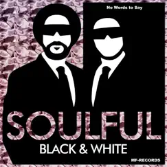 No Words to Say by Soulful Black & White album reviews, ratings, credits