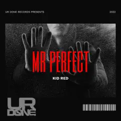 Mr Perfect - Single by Kid Red album reviews, ratings, credits