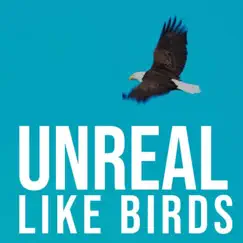 Unreal Like Birds - Single by Tom Green album reviews, ratings, credits