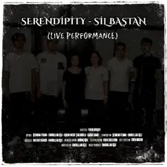 Sil Baştan (Live Performance) - Single by Serendipity album reviews, ratings, credits