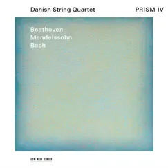 String Quartet No. 15 in A Minor, Op. 132: I. Assai sostenuto - Allegro Song Lyrics