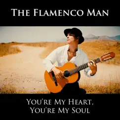 You're My Heart, You're My Soul - Single by The Flamenco Man album reviews, ratings, credits