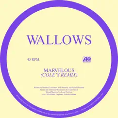 Marvelous (Cole’s Remix) - Single by Wallows album reviews, ratings, credits