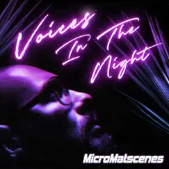 Voices in the Night by MicroMatscenes album reviews, ratings, credits
