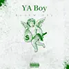 Ya Boy - Single album lyrics, reviews, download