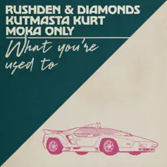 What You're Used To (feat. KutMasta Kurt & Moka Only) - Single by Rushden & Diamonds album reviews, ratings, credits