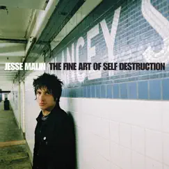 Fine Art of Self Destruction (Anniversary Reissue) by Jesse Malin album reviews, ratings, credits