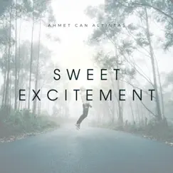 Sweet Excitement - Single by Ahmet Can Altıntaş album reviews, ratings, credits