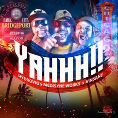 Yahhh!! (Radio Edit) - Single by Medisyne Works, Hydrovig & Vinsane album reviews, ratings, credits