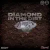 Diamond In the Dirt (feat. Cherrie) - Single album lyrics, reviews, download