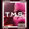 T.M.S. (feat. ITZJBOII) - Single album lyrics, reviews, download