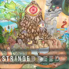 The Madness of the Infinite by Strange Breed album reviews, ratings, credits