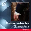 Premier trio pour piano, violon et violoncelle en ut mineur: I. Mouvement modéré mais avec un sentiment agité song lyrics