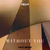 Without You (Hayit Murat) song lyrics