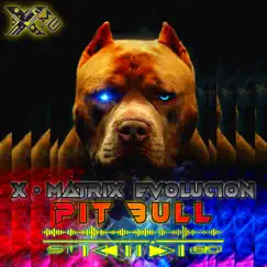 Pit Bull - Single by X MATRIX EVOLUCION album reviews, ratings, credits