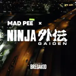 Ninja Gaiden - Single by Dj Mad Pee album reviews, ratings, credits