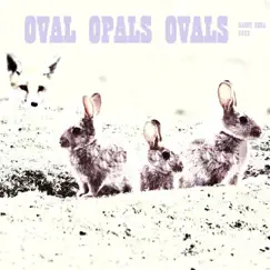 Oval Opals Ovals - Single by Danny Roda album reviews, ratings, credits