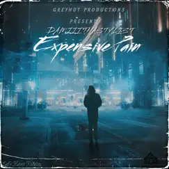 Expensive Pain - Single by Damiithastylist album reviews, ratings, credits
