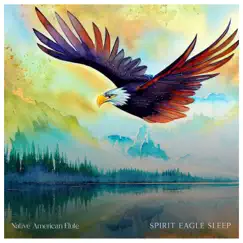 Spirit Eagle Sleep by Native American Flute album reviews, ratings, credits