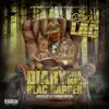 Diary of a Mad Black Rapper album lyrics, reviews, download