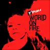 World On Fire - Single album lyrics, reviews, download