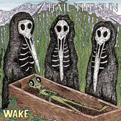 Wake by Hail the Sun album reviews, ratings, credits