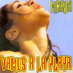 Vamos a la Playa (Ibiza Club Mix) Song Lyrics