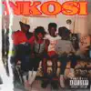 Nkosi album lyrics, reviews, download