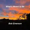 What's Meant to Be - Single album lyrics, reviews, download