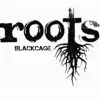 Roots - EP album lyrics, reviews, download