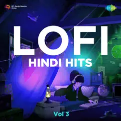 Zindagi Pyar Ka Geet Hai - LOFI Hindi MIX Song Lyrics