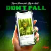 Don't Fall (feat. Stig da Artist) - Single album lyrics, reviews, download