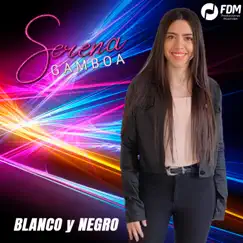 Blanco y Negro - Single by SERENA GAMBOA album reviews, ratings, credits