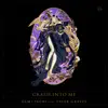 Crash Into Me (feat. Tyler Graves) album lyrics, reviews, download