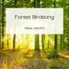 Forest Birdsong album lyrics, reviews, download