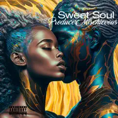 Sweet Soul - Single by Producer Mischevious album reviews, ratings, credits