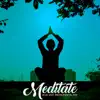 Meditate (Acid Jazz Instrumental Mix) - Single album lyrics, reviews, download